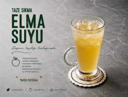 Elma Suyu %100